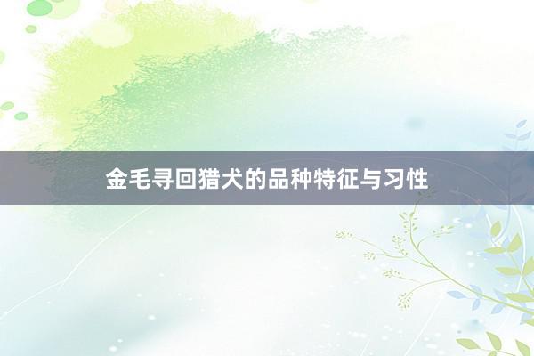 金毛寻回猎犬的品种特征与习性