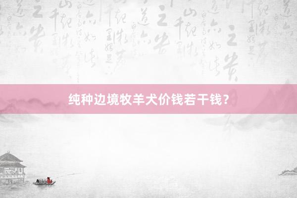 纯种边境牧羊犬价钱若干钱？