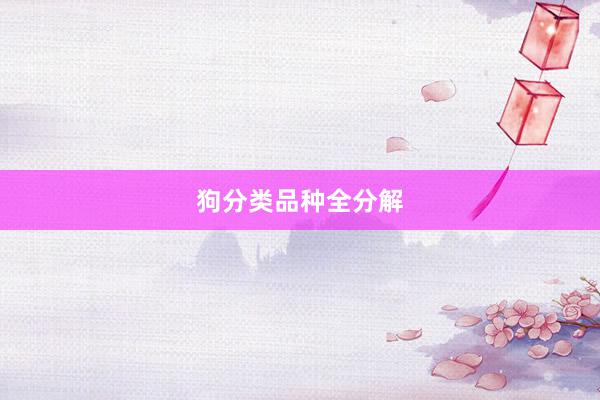 狗分类品种全分解