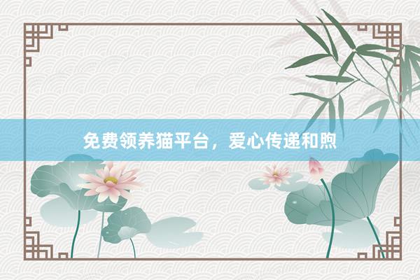 免费领养猫平台，爱心传递和煦